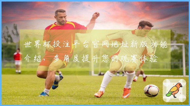 世界杯投注平台官网地址新版功能介绍，多角度提升您的观赛体验