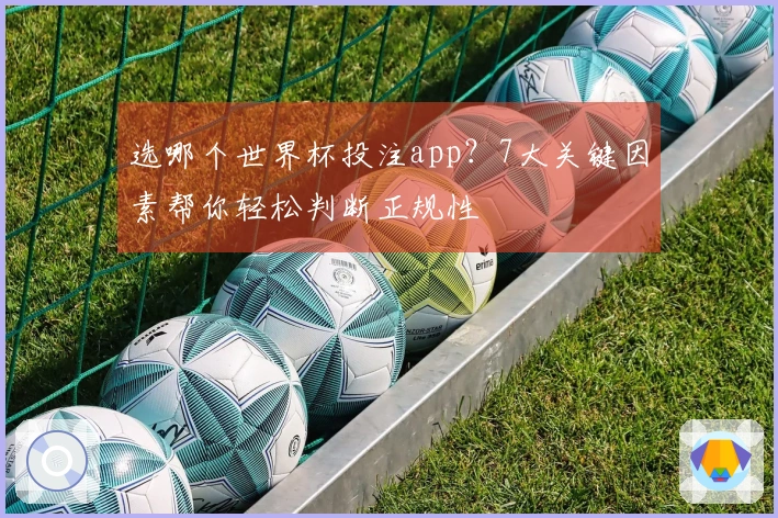 选哪个世界杯投注app?7大关键因素帮你轻松判断正规性