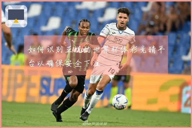 如何识别正规的世界杯体彩竞猜平台以确保安全下注