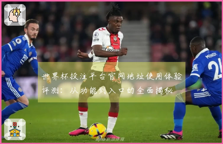 世界杯投注平台官网地址使用体验评测：从功能到入口的全面揭秘