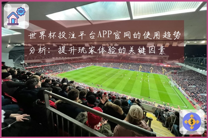 世界杯投注平台APP官网的使用趋势分析：提升玩家体验的关键因素