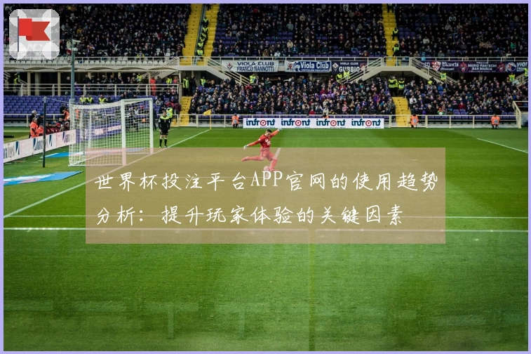 世界杯投注平台APP官网的使用趋势分析：提升玩家体验的关键因素