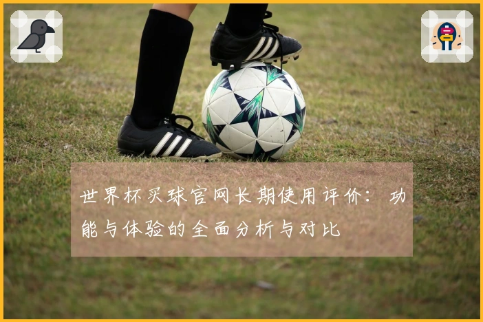 世界杯买球官网长期使用评价：功能与体验的全面分析与对比